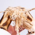 thumbnail image 2 of Penn-Plax, Wood & Shell swing, 2 of 5