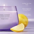 thumbnail image 4 of Bougie en pot parfumée Yankee Candle, collection Studio, 4 of 7
