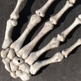 thumbnail image 2 of MesaSe Halloween Skull Skeleton Human Hand Bone Zombie Party Terror Adult Scary Props, 2 of 6