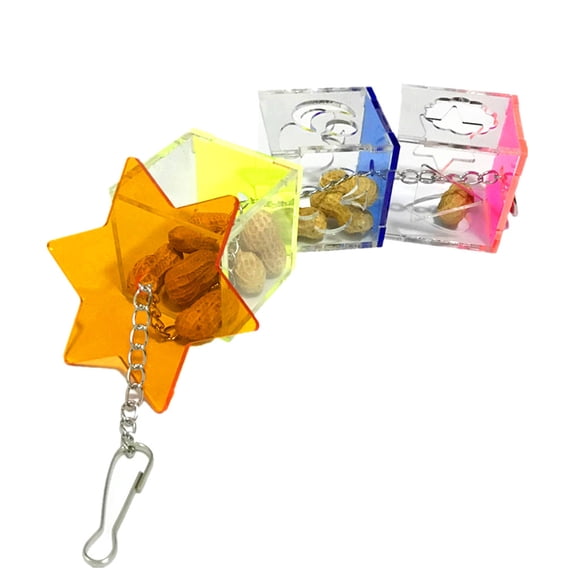 Accessoires de Jouets Suspendus Oiseaux Recherche de Nourriture Cacatoès Oiseau Acrylique Animal de Compagnie Fournitures pour Animaux de Compagnie