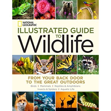 National Geographic Illustrated Guide to Wildlife: From Your Back Door to the Great Outdoors