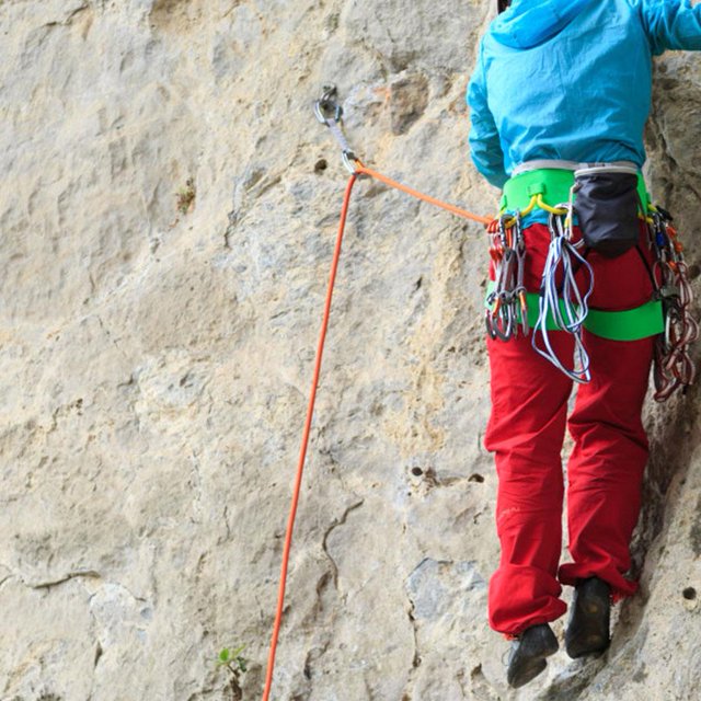 Polyester Water Resistance Skid Resistance Durable Survival Cord, Climbing Rope, Hiking Backup For Outdoor Sports Activities Escape