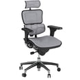 thumbnail image 1 of Ergohuman High Back Executive Chair with Headrest, Grey Mesh Seat & Back, 1 of 4