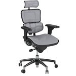 Ergohuman High Back Executive Chair with Headrest, Grey Mesh Seat & Back