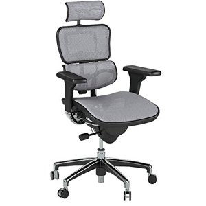 Ergohuman High Back Executive Chair with Headrest, Grey Mesh Seat & Back