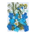 thumbnail image 1 of Agiferg Real Dried Presse Flowers Leaves Natural Set with Butterfly Stickers, 1 of 8
