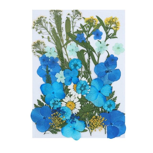 Agiferg Real Dried Presse Flowers Leaves Natural Set with Butterfly Stickers