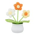 thumbnail image 1 of Bgsha Handwoven Wool Crochet Puff Flower Pot: A Timeless,Low-maintenance Home Decor!, 1 of 10