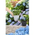 thumbnail image 3 of Mainstays Basic Bell Planter 12 inch Black, Classic Design with Attached Tray Durable Weather Resistant Matte Finish, 3 of 3