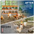 thumbnail image 3 of Chicken Nesting Box, 10 Compartment Metal Nesting Boxes for Chicken Coop, Roll Away Nest Box, Easy Egg Collection, Easy to Clean and Install, Chicken Laying Boxes,Orange, 3 of 7