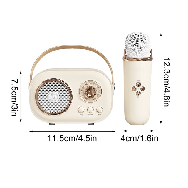 Haut-parleurs Bluetooth Sans Fil, Mini Machine de Karaoké avec Ensemble de Microphone Haut-Parleurs Bluetooth Portables pour Enfants et Adultes Style Rétro
