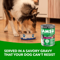 thumbnail image 2 of IAMS Proactive Health Beef & Rice Adult Wet Dog Food, 2 of 13