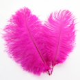 thumbnail image 1 of Ostrich Feather 30-35Cm Color Feather Decoration 8# Rose Red C Feather (1*Feather), 1 of 7