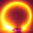 thumbnail image 4 of Trayknick Collier pour Chien à LED Rechargeable Lumineux USB pour Chiot pour Extérieur, 4 of 13