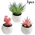 thumbnail image 1 of Coofit 3PCS Artificial Succulents Mini Decorative Potted Fake Succulents Faux Plants, 1 of 9