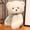 GY, variante sur EGNMCR Ours Blanc de 9 Pouces Foulard en Peluche Ours en Peluche Jouet en Peluche Petit Ours Blanc pour Enfants Poupée Qui Dort Garçon et Fille Cadeau de Fête d'Anniversaire Poupée en Peluche Cadeaux d'Anniversaire pour Enfants