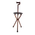 thumbnail image 3 of Metal Portable Folding Walking Stick Chair Seat Stool Travel Cane Chair, 3 of 14