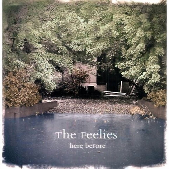 The Feelies - Here Before (Vinyl)
