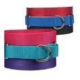 thumbnail image 1 of Guardian Gear Asst Color Bulk Martingale Dog Collars Shelter Rescue Litter Pick Size/Quantity (10-16 Inch 20 Collars), 1 of 1