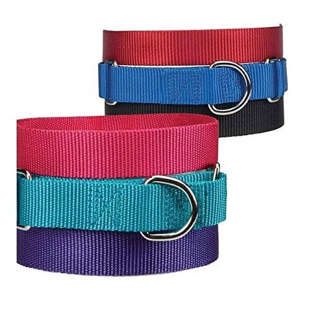 Guardian Gear Asst Color Bulk Martingale Dog Collars Shelter Rescue Litter Pick Size/Quantity (10-16 Inch 20 Collars)