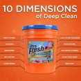 thumbnail image 3 of Ultra Fresh 6X Platinum 5 Gal Laundry Detergent with Spring Fresh Softener, 3 of 9