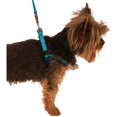 thumbnail image 1 of Valhoma 3924-TU-L Adjustable Harness, Turquoise - Large - 30-40 in., 1 of 1