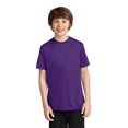 thumbnail image 1 of Port & Company Youth Performance T-Shirt - PC380Y, 1 of 1