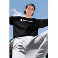thumbnail image 4 of Champion Mens Powerblend Retro Fleece Jogger Pants, M, Black, 4 of 6