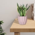 thumbnail image 5 of RuiJiao Clearance Round Planter Pot Vintage-Style White Flower Pots Indoor Textured Cylindrical Succulent Containers, 5 of 5