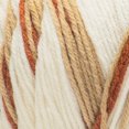thumbnail image 3 of Red Heart® All In One Flower Power™ Fil acrylique peigné n° 4 (moyen), 8,8 oz/250 g, 417 yards, 3 of 5