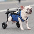 thumbnail image 1 of Adjustable Dog Wheelchair For Back Legs - Mobility Aid For Disabled Pets -, 1 of 5