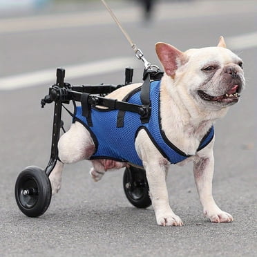 Fauteuil Roulant pour Chien Ajustable pour le Dos et les Jambes - Aide à la Mobilité pour Animaux de Compagnie Handicapés -