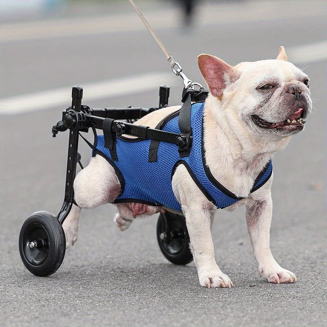 Adjustable Dog Wheelchair For Back Legs - Mobility Aid For Disabled Pets -