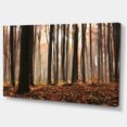thumbnail image 2 of Dark Thick Woods in Fall Forest - Modern Forest Canvas Art, 2 of 4