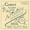 thumbnail image 3 of Academie Treble Viol d-1 Gut Medium Gauge - Double-Length, 3 of 4
