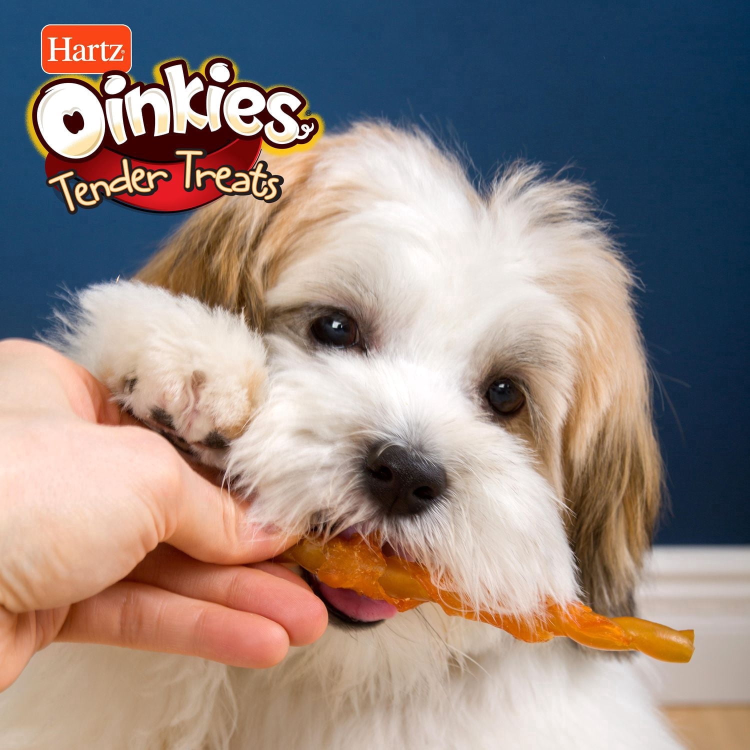 Oinkies Gâteries pour Chiens Tendres Enrobées de Poulet