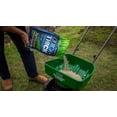 thumbnail image 3 of Scotts Turf Builder Quick + Thick Grass Seed Sun - Shade 1.2kg, 3 of 7
