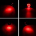 thumbnail image 4 of Reptile Lamp 75W Reptile Heat Bulb Amphibian Heat Lamp Sun Basking Lamp, 4 of 10