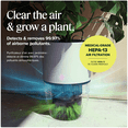 thumbnail image 3 of Dupray Bloom™ Medical-Grade HEPA-13 Air Purifier with Integrated Planter, 3 of 10