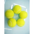 thumbnail image 3 of 10 Pack Tennis Balls, Training Balls for Lessons, Practice, Playing with Pets, 3 of 4