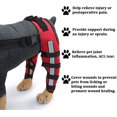 thumbnail image 2 of Dog Knee Brace, Dog Double Rear Leg Brace With Reflective Seat Belts, Adjustable Dog Back Leg Brace For Acl Wounds, 2 of 5