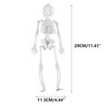 thumbnail image 3 of HHBEAUTY 11.4" Posable Skeleton Plastic Mini Skeleton Decor with Movable Joints, Outdoor Halloween Decor Props for Yard Haunted Houses Porch, 3 of 5