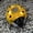 Yellow, variant on Solar Garden Lights Outdoor, Warm White Solar Powered Lamp with 2 Lighting Modes, Energy Saving Landscape Lighting for Patio Garden Decor, Red