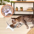 thumbnail image 2 of Bol de Protection Lente pour Chien Chat, Bol de Protection de l'Estomac, 2 of 9