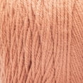 thumbnail image 2 of Caron® One Pound™ Yarn, Acrylic #4 Medium, 16oz/454g, 812 Yards, 2 of 7
