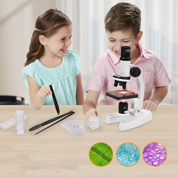 Vente d'Économies! Microscope Biologique Optique Cameland Jouets d' Enseignement de la Biologie pour Élèves du Primaire et du Secondaire 300X-1200X Microscope Monoculaire pour Enfants