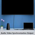 thumbnail image 4 of Wbxfbo 1x HDMI to DisplayPort Cable 19cm/1.8m, 4 of 8