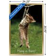 thumbnail image 3 of Célèbre chaton accroché là-bas Poster, 3 of 5