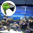 thumbnail image 3 of DOLITY Nouveauté Animal de Compagnie Reptile Cachette Grotte Réservoir Déco Matériau en Résine Fournitures pour Animaux - B B, 3 of 9