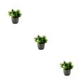 thumbnail image 1 of Decodeary Green Eco-friendly Artificial Money Tree In Pot Long-lasting Durability Realistic Appearance new whitebabysbreath 3Set, 1 of 6